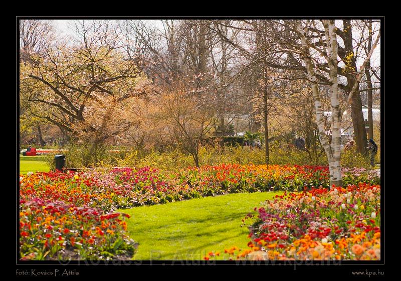 Keukenhof Hollandia 097.jpg